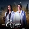 Poster fanmade de Cranium com Freen Sarocha e Becky Armstrong como protagonistas da série GL
